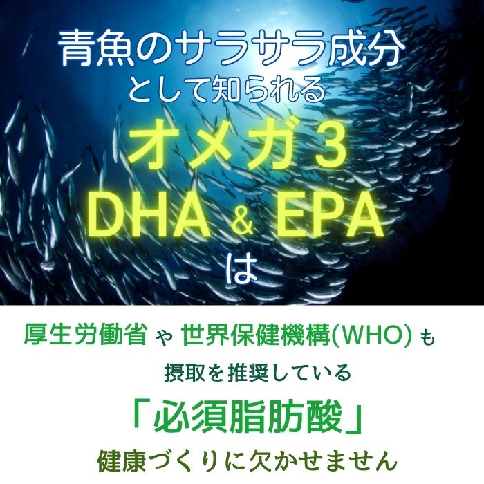 植物由来のオメガ3( DHA & EPA ) ※期間限定ワケアリ価格(賞味期限が2025年12月31日と迫っているため、特別価格にて10月末まで販売)