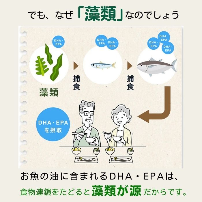 植物由来のオメガ3( DHA & EPA ) ※期間限定ワケアリ価格(賞味期限が2025年12月31日と迫っているため、特別価格にて10月末まで販売)