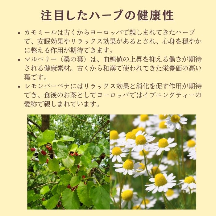 下堂薗 カモミール＆マルベリー緑茶