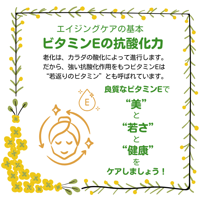 α・トコＥゴールド-120粒入り